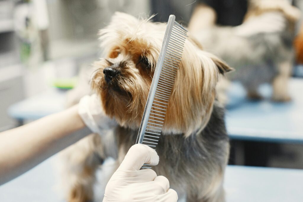 dog grooming salon philippines