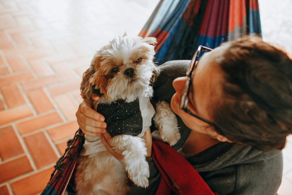friendly dog owner indoor