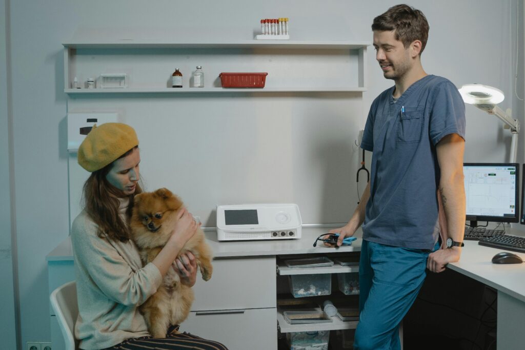 veterinarian clinic dog consultation