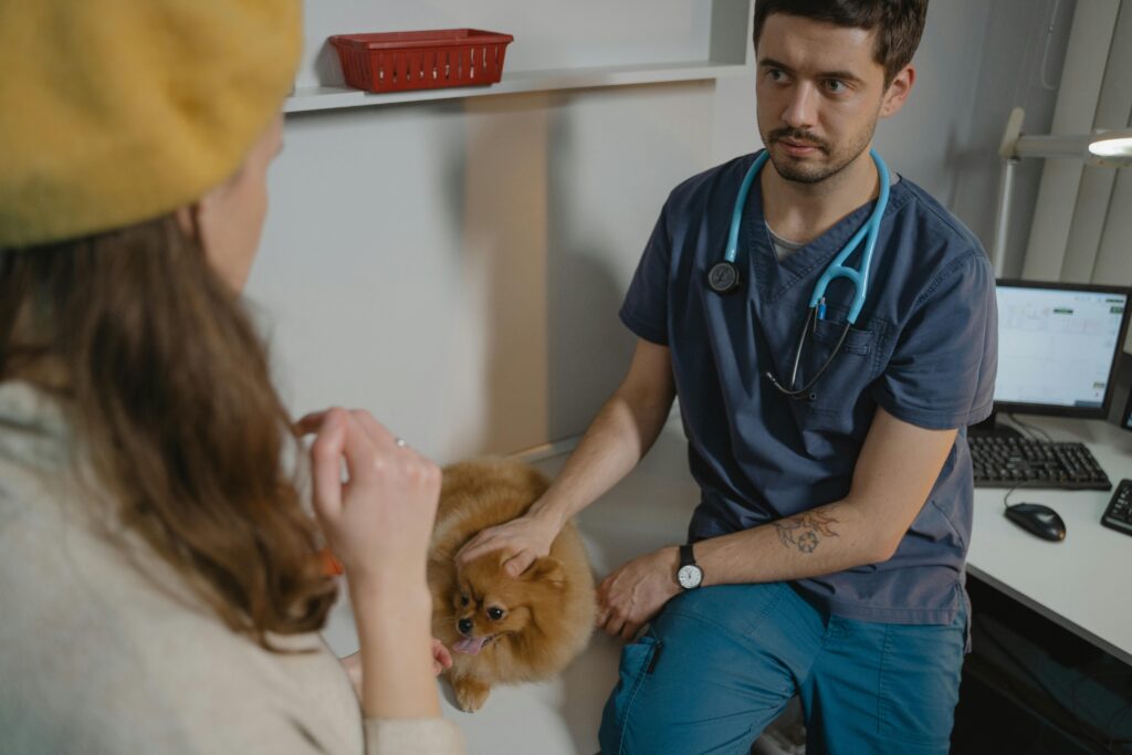 veterinary clinic dog consultation