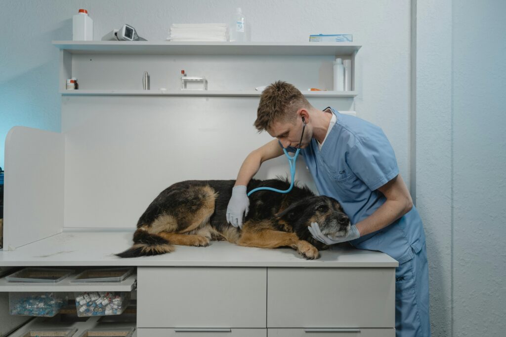 veterinary clinic modern interior